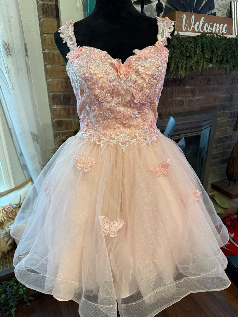 Dancing Queen Blush Pink Butterfly Sequin Fairy Corset Dress Sz Lg